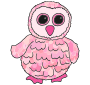Baby Owl