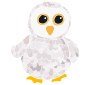 Baby Owl