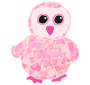 Baby Owl