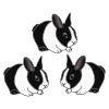 Rabbits Picture