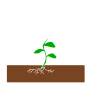 Plant Stencil