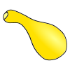 Squash  Picture