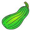 Zucchini