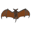 Bat Picture