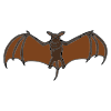 Vampire+Bat Picture
