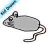 Mouse Picture