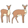 Deer Picture