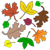 Leaves
