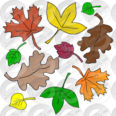 Leaves