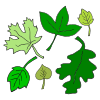Leaves