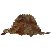 Leaves