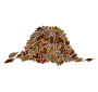 Leaves