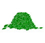 Leaves