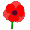 Poppy Picture