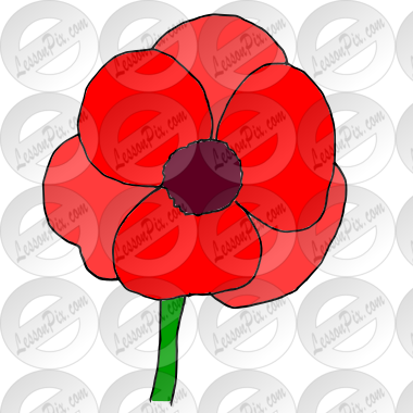 Poppy Picture