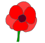 Poppy