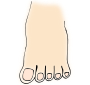 Toes  Picture