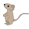 Mouse