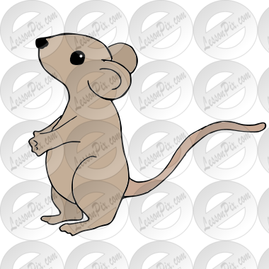 Mouse