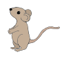 Mouse