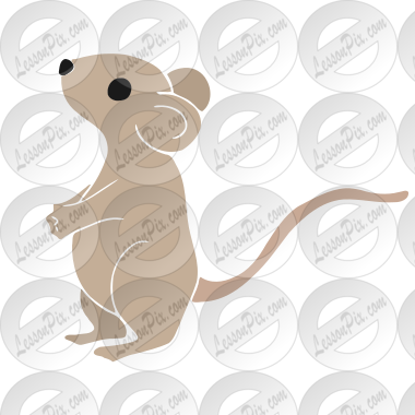 Mouse