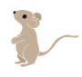 Mouse Stencil