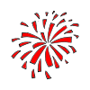 Firework Picture