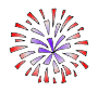 Firework Picture