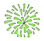 Firework