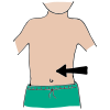 Stomach