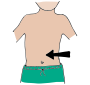Stomach  Picture