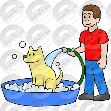 Wash Dog