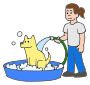 Wash Dog  Picture