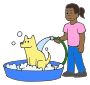 Wash Dog