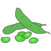 Edamame Picture