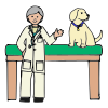 Veterinarian Picture