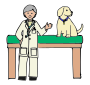 Veterinarian