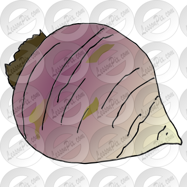 Rutabaga