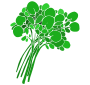 Watercress  Stencil