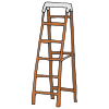 Ladder Picture