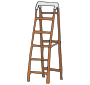 Ladder Picture