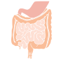 Intestines Stencil