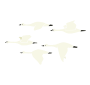 Migrate