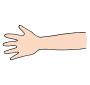 Arm