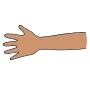 Arm  Picture