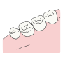 Teeth