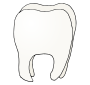 Tooth
