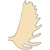 Antler
