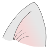 Cat Ear
