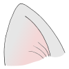 Cat Ear